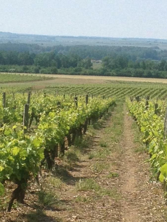 Gite Du Calme 3 Star Bed & Breakfast Cognac Chérac Exterior foto